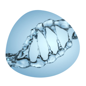 Hyaluronic Acid